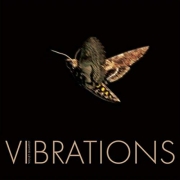 Review: Violet Quartet - Vibrations